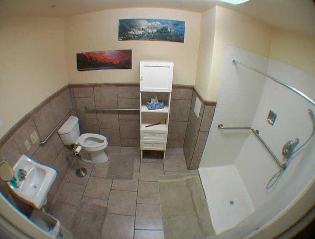 Bathroom with roll in shower, grab bars around toilet, accessible sink.